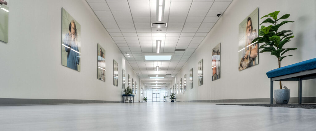 Hallway within Saturn Petcare US main office.